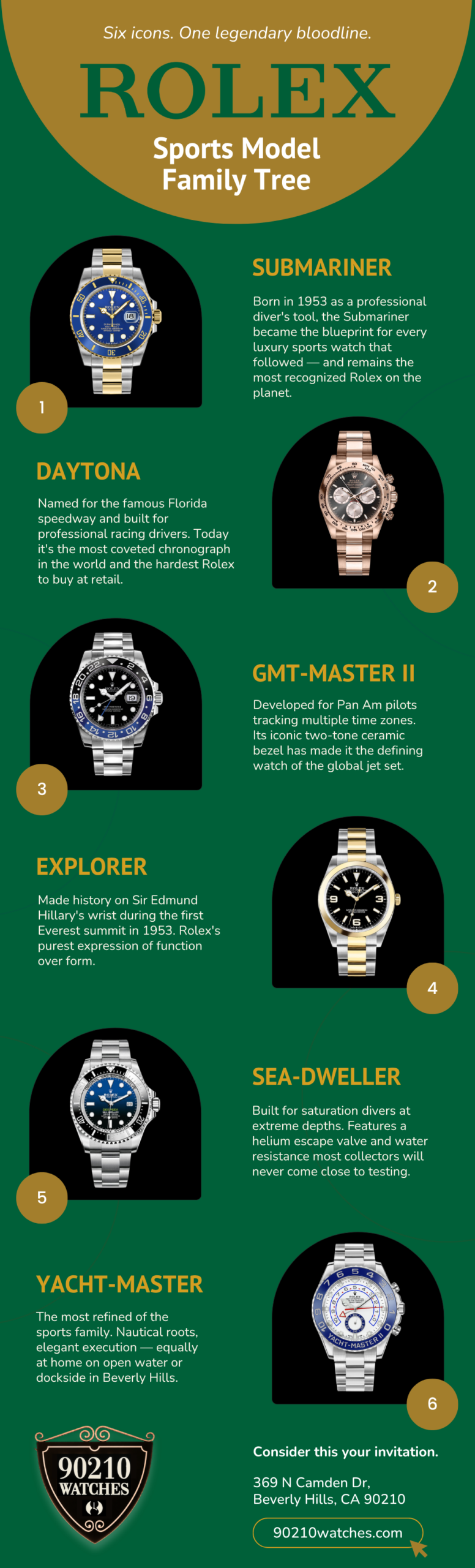The Rolex Sports Model Family Tree Infographic